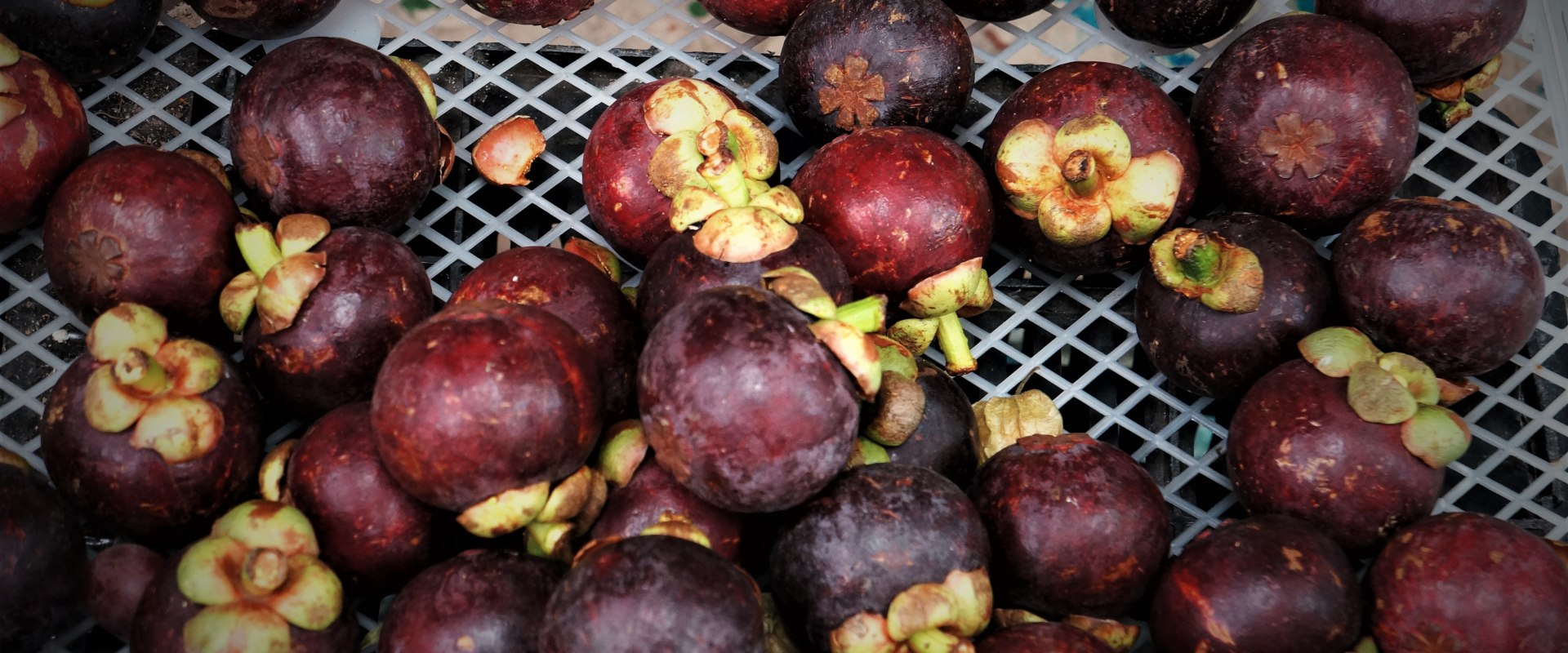 Is mangosteen good for diabetes?