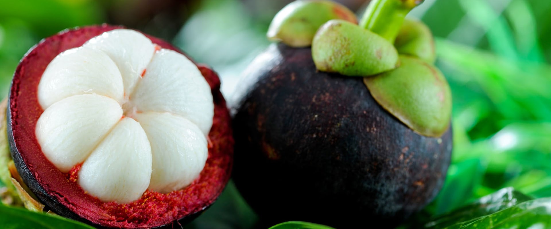 Is mangosteen good for your hair?