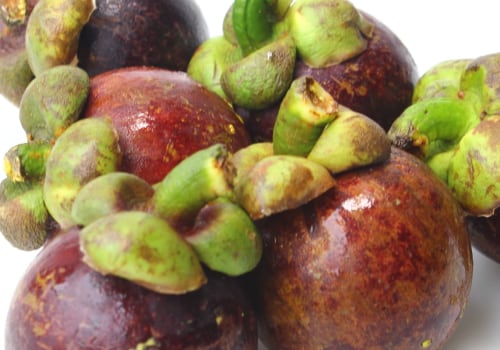 How many mangosteen can i eat in a day?